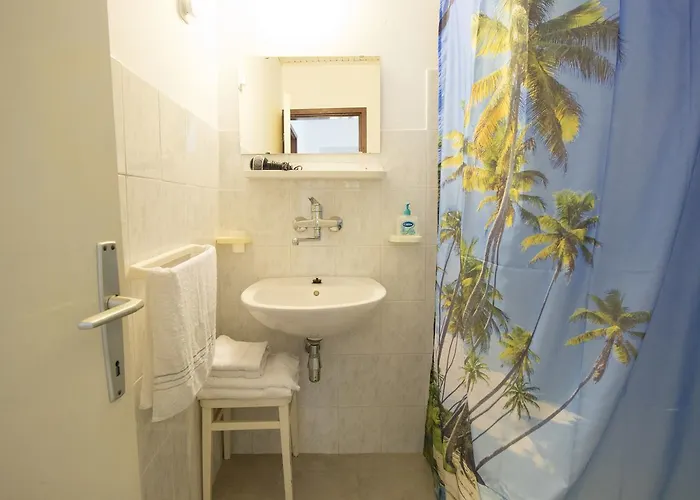 Miroslav Novi Vinodolski